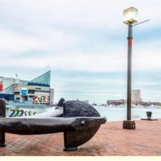 Baltimore Magnet Image